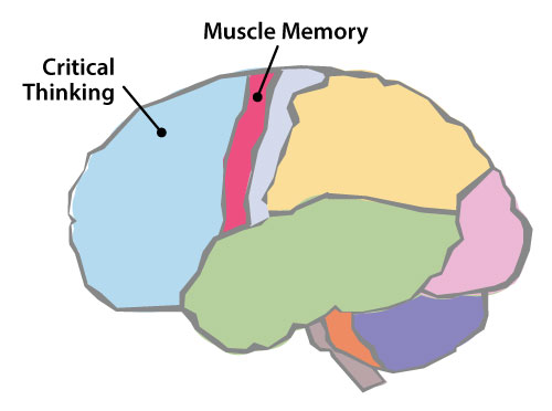 Mechanical Thinking in the Brain