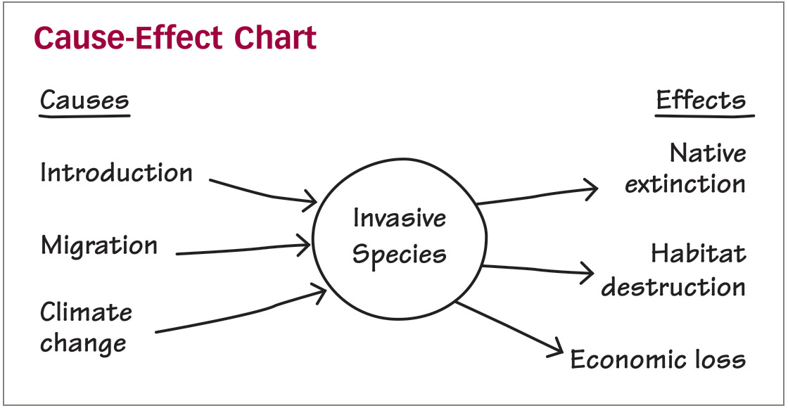 Cause-Effect Chart